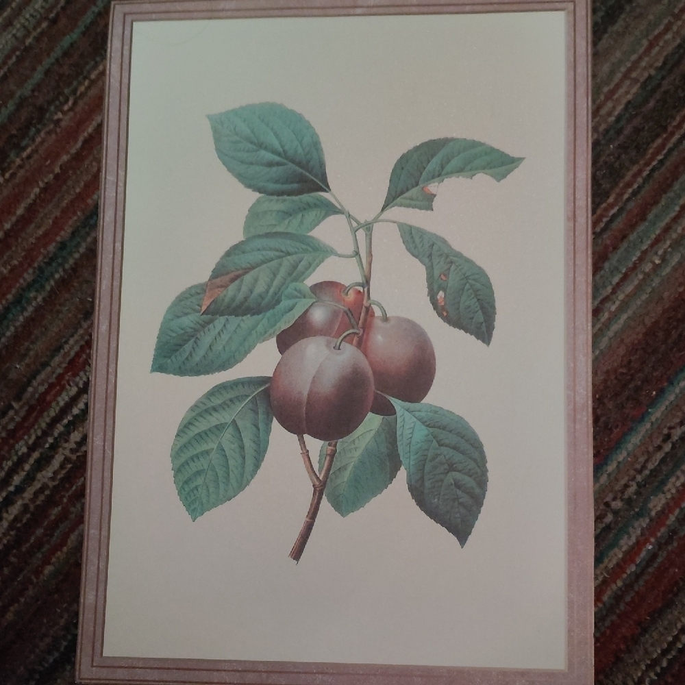 Vintage Cherry Plum